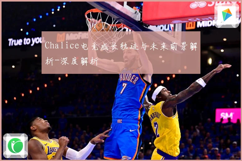 Chalice电竞成长轨迹与未来前景解析-深度解析